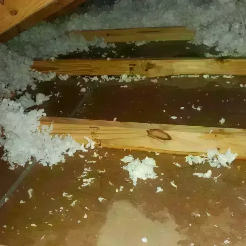 Attic Water Damage in Taylor County, TX