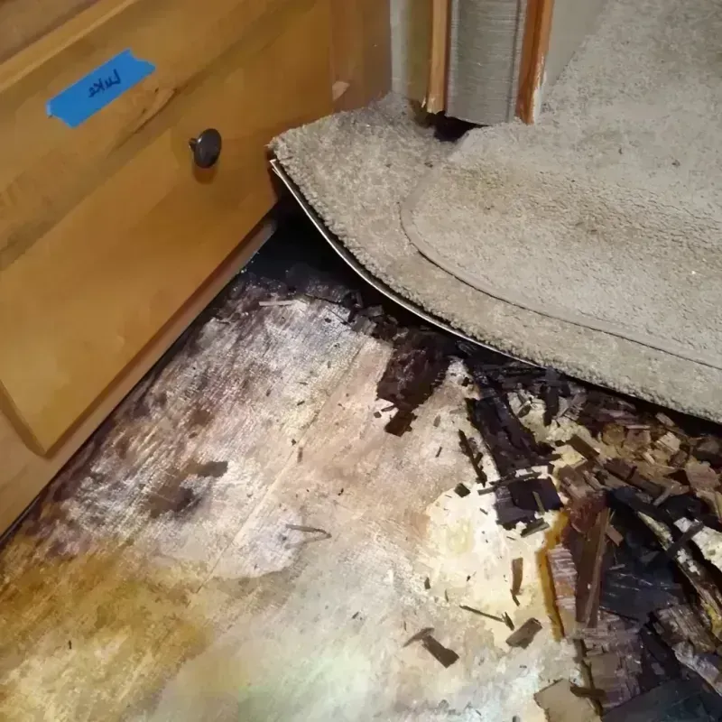 Wood Floor Water Damage in Taylor County, TX